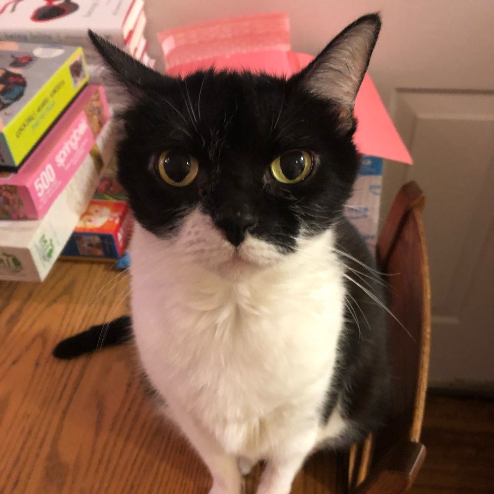 Meet your Posher, Marie
